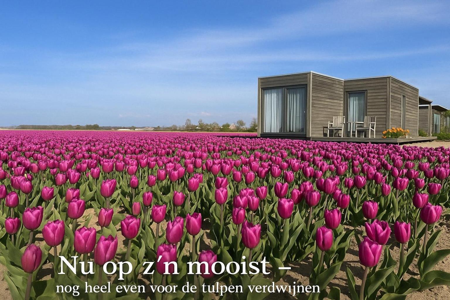 Blossombed Voorhout Экстерьер фото