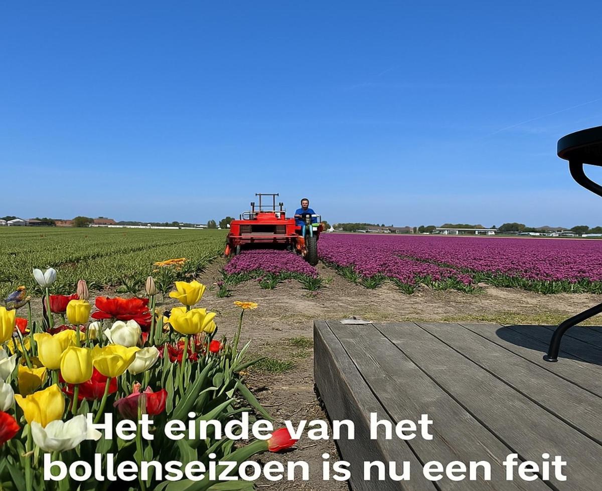 Blossombed Voorhout Экстерьер фото